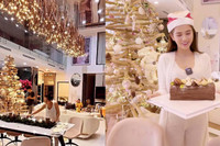 [ẢNH] Sao Việt nào sở hữu bất động sản ‘khủng’ nhất showbiz? 