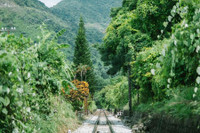 [ẢNH] Điều đặc biệt giúp đèo Hải Vân lọt 'top' 10 cung đường 'check-in' tuyệt diệu