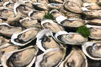 [ẢNH] Điểm danh những loại thực phẩm dễ gây ngộ độc vào mùa hè 