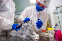 [ẢNH] Nga phê duyệt vắc-xin ngừa Covid-19 đầu tiên trên thế giới cho vật nuôi