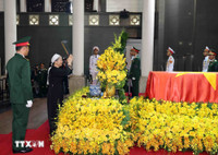 Hình ảnh gia đình Tổng Bí thư Nguyễn Phú Trọng tại Lễ viếng