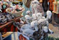 [ẢNH] Bên trong những khu mua sắm độc lạ nhất thế giới