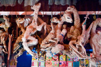 [ẢNH] Bên trong những khu mua sắm độc lạ nhất thế giới