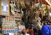 [ẢNH] Bên trong những khu mua sắm độc lạ nhất thế giới