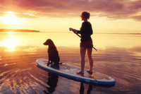 [ẢNH] Ấn tượng ‘đêm trắng' ở những vùng đất mặt trời mọc lúc nửa đêm