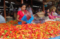 [ẢNH] Bên trong những khu mua sắm độc lạ nhất thế giới