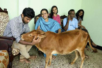 [ẢNH] Bò lùn nhỏ nhất thế giới và những sinh vật tí hon siêu hiếm