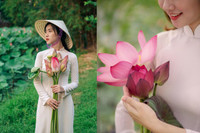 [ẢNH] Mùa sen thanh khiết trên khắp nẻo miền Trung 