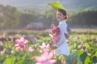 [ẢNH] Mùa sen thanh khiết trên khắp nẻo miền Trung 