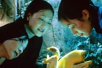 [ẢNH] Nhan sắc và tài năng hiếm có của NSND Như Quỳnh thời thanh xuân