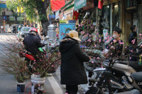 Chợ hoa Hàng Lược rộn ràng đón Tết Nhâm Dần 2022