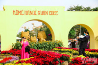 Đường hoa Home Hanoi Xuan 2022 rực rỡ đón du khách ghé thăm