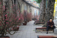 Hòa mình vào không khí đón Tết Nhâm Dần 2022 trên phố bích họa Phùng Hưng