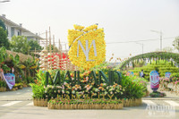 Đường hoa Home Hanoi Xuan 2022 rực rỡ đón du khách ghé thăm