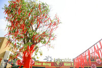 Đường hoa Home Hanoi Xuan 2022 rực rỡ đón du khách ghé thăm