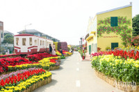 Đường hoa Home Hanoi Xuan 2022 rực rỡ đón du khách ghé thăm