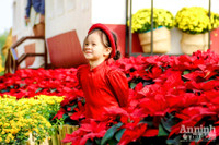 Đường hoa Home Hanoi Xuan 2022 rực rỡ đón du khách ghé thăm