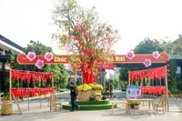 Đường hoa Home Hanoi Xuan 2022 rực rỡ đón du khách ghé thăm