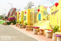 Đường hoa Home Hanoi Xuan 2022 rực rỡ đón du khách ghé thăm