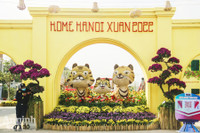 Đường hoa Home Hanoi Xuan 2022 rực rỡ đón du khách ghé thăm