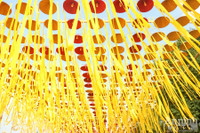 Đường hoa Home Hanoi Xuan 2022 rực rỡ đón du khách ghé thăm