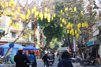 Chợ hoa Hàng Lược rộn ràng đón Tết Nhâm Dần 2022