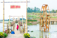 Đường hoa Home Hanoi Xuan 2022 rực rỡ đón du khách ghé thăm