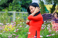 Đường hoa Home Hanoi Xuan 2022 rực rỡ đón du khách ghé thăm