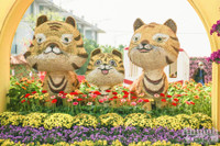 Đường hoa Home Hanoi Xuan 2022 rực rỡ đón du khách ghé thăm