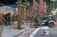 Chợ hoa Hàng Lược rộn ràng đón Tết Nhâm Dần 2022