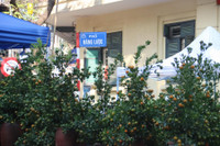 Chợ hoa Hàng Lược rộn ràng đón Tết Nhâm Dần 2022