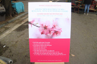 Hòa mình vào không khí đón Tết Nhâm Dần 2022 trên phố bích họa Phùng Hưng