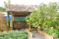 Đường hoa Home Hanoi Xuan 2022 rực rỡ đón du khách ghé thăm