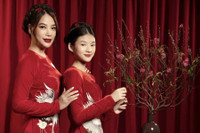 Sao Việt tung loạt ảnh đẹp lung linh chào đón Tết Nhâm Dần 2022