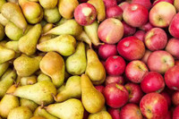 [ẢNH] Nguy hại sức khỏe từ hạt của những loại quả 