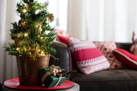 [ẢNH] Những phụ kiện trang trí cây thông Noel đẹp không nên bỏ qua