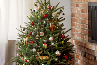 [ẢNH] Những phụ kiện trang trí cây thông Noel đẹp không nên bỏ qua