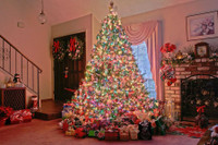 [ẢNH] Những phụ kiện trang trí cây thông Noel đẹp không nên bỏ qua