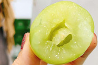 [ẢNH] Những điều thú vị về loại nho Nhật ‘siêu to’, có tiền cũng khó mua được 