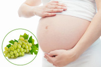 [ẢNH] Những điều thú vị về loại nho Nhật ‘siêu to’, có tiền cũng khó mua được 