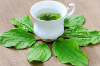 [ẢNH] Những loại cây mọc dại nhưng được ví như ‘thần dược’ cực tốt cho sức khỏe