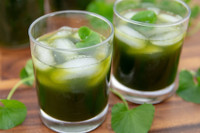 [ẢNH] Những loại cây mọc dại nhưng được ví như ‘thần dược’ cực tốt cho sức khỏe