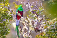 [ẢNH] Những loài động vật sở hữu bộ lông kỳ lạ nhất thế giới