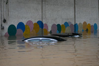 [ẢNH] Bão Vamco đã tàn phá thủ đô Manila của Philippines như thế nào?