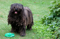 [ẢNH] Những loài động vật sở hữu bộ lông kỳ lạ nhất thế giới