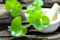 [ẢNH] Những loại cây mọc dại nhưng được ví như ‘thần dược’ cực tốt cho sức khỏe