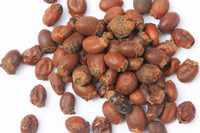 [ẢNH] 5 loại hạt trái cây cực tốt cho sức khỏe nhưng thường bị bỏ đi