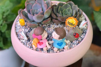 [ẢNH] Những loại cây cảnh nên trồng trong nhà khi thời tiết chuyển lạnh