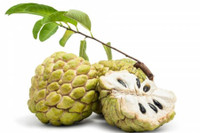 [ẢNH] Nguy hại sức khỏe từ hạt của những loại quả 