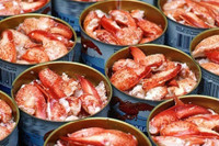 [ẢNH] Điểm danh 3 loại thực phẩm đắt đỏ nhưng từng là đồ ăn của người nghèo 